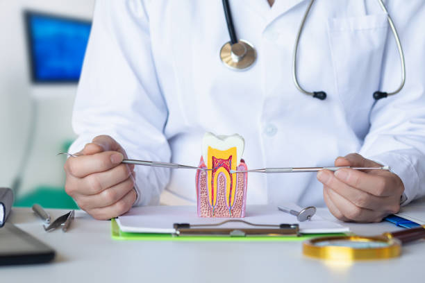 Best Emergency Gum Treatment in Lansdowne, VA